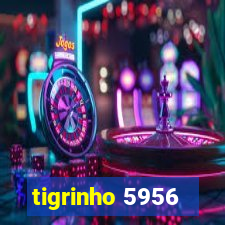 tigrinho 5956